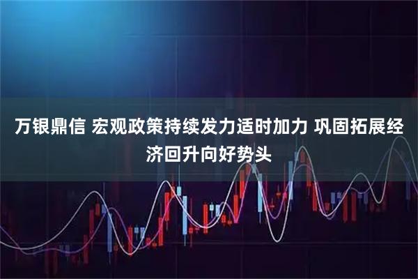 万银鼎信 宏观政策持续发力适时加力 巩固拓展经济回升向好势头