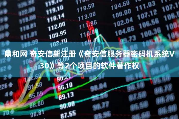 鼎和网 奇安信新注册《奇安信服务器密码机系统V30》等2个项目的软件著作权