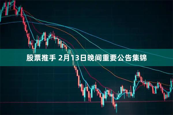 股票推手 2月13日晚间重要公告集锦