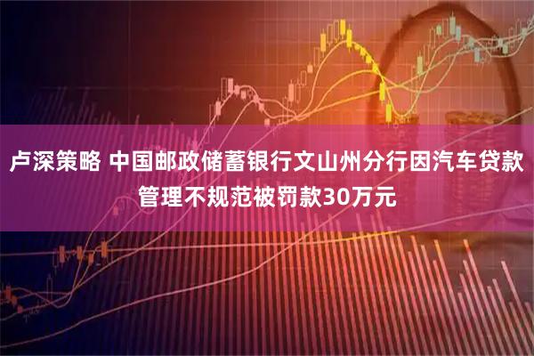 卢深策略 中国邮政储蓄银行文山州分行因汽车贷款管理不规范被罚款30万元