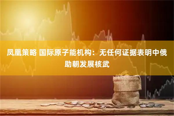 凤凰策略 国际原子能机构：无任何证据表明中俄助朝发展核武