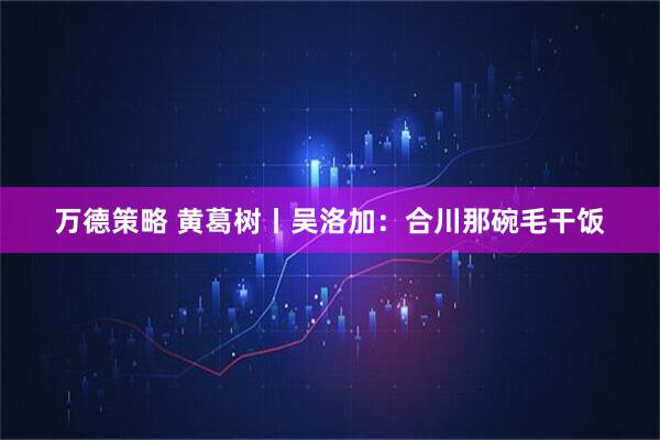 万德策略 黄葛树丨吴洛加:合川那碗毛干饭
